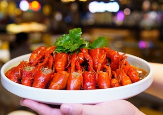下载中心-西铁照明(中山)有限公司-西铁餐饮类案例集