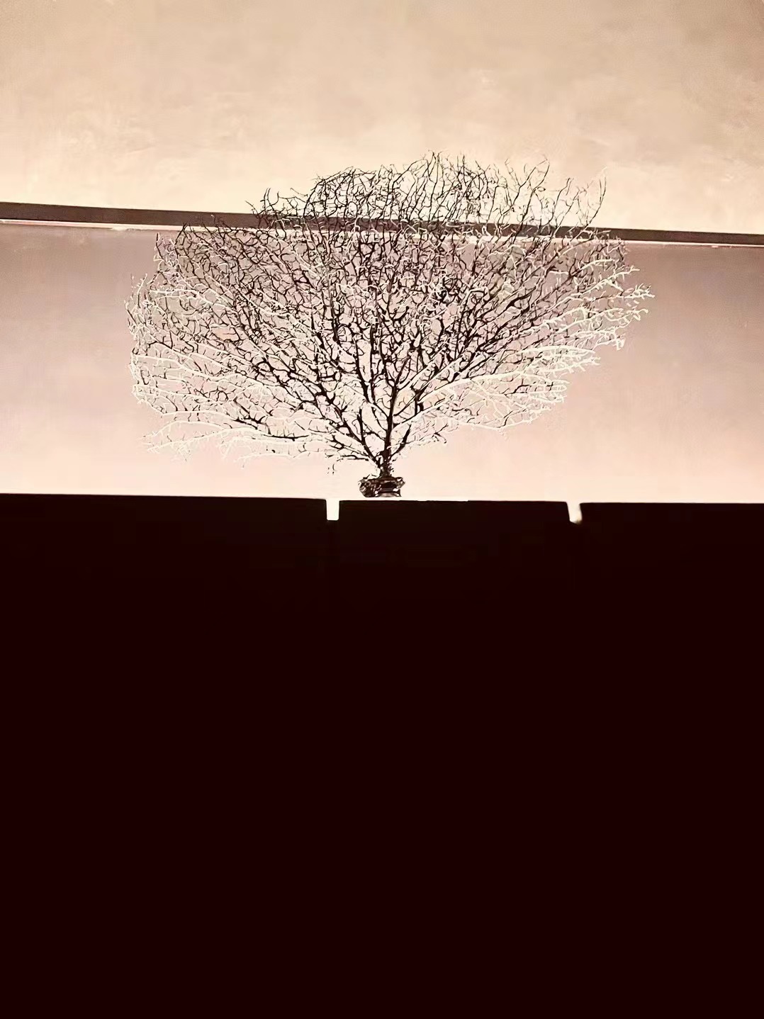 微信图片_20240506165722.jpg